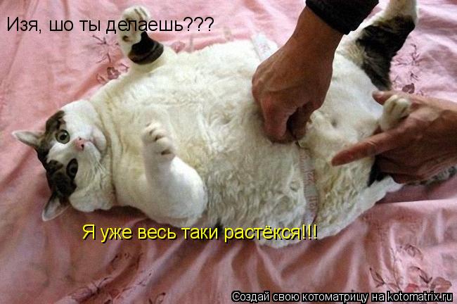 Котоматрица: Изя, шо ты делаешь??? Я уже весь таки растёкся!!!