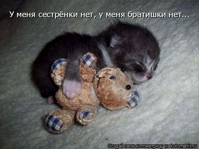 Котоматрица: У меня сестрёнки нет, у меня братишки нет...
