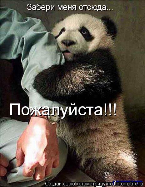 Котоматрица: Забери меня отсюда... Пожалуйста!!!