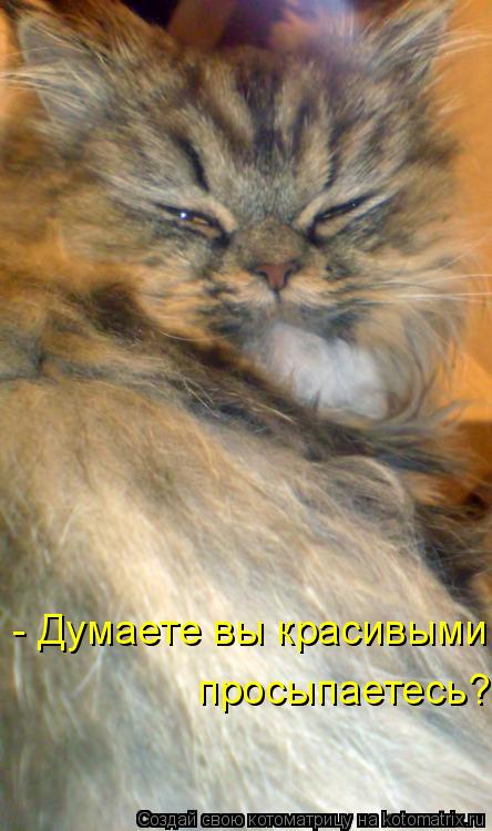 Котоматрица: - Думаете вы красивыми просыпаетесь?