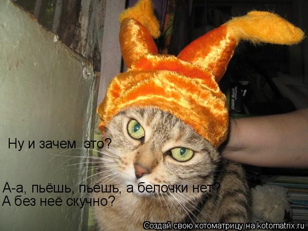 Котоматрица: Ну и зачем  это? А-а, пьёшь, пьёшь, а белочки нет?.  А без неё скучно?