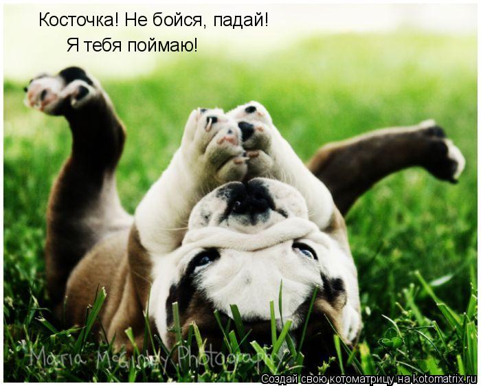 Котоматрица: Косточка! Не бойся, падай!  Я тебя поймаю!