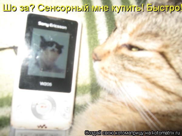 Котоматрица: Шо за? Сенсорный мне купить! Быстро!