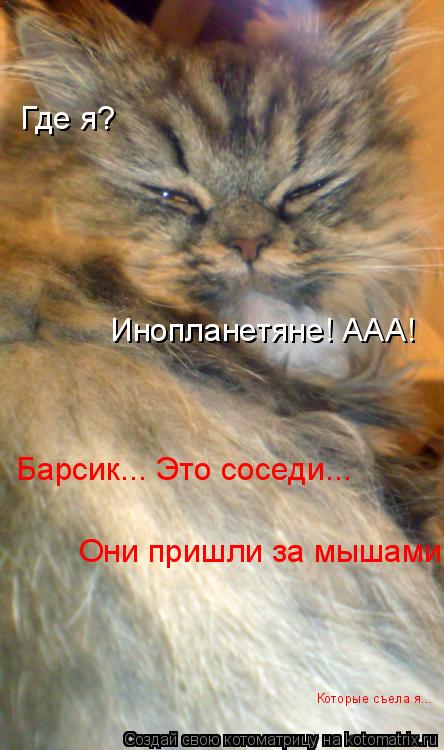 Котоматрица: Где я? Инопланетяне! ААА! Барсик... Это соседи... Они пришли за мышами, которые съела я... Которые съела я...