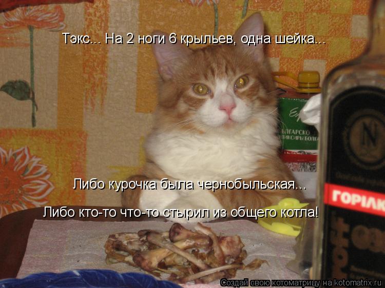Котоматрица: Тэкс... На 2 ноги 6 крыльев, одна шейка... Либо курочка была чернобыльская... Либо кто-то что-то стырил из общего котла!