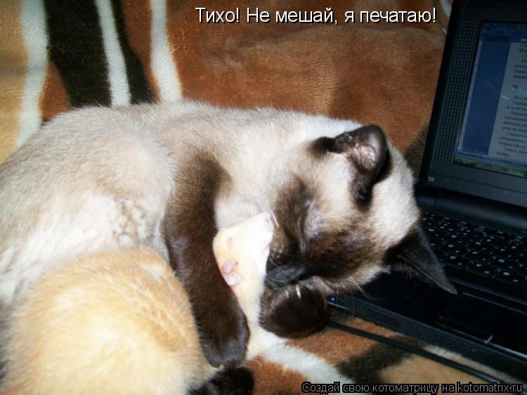 Котоматрица: Тихо! Не мешай, я печатаю!