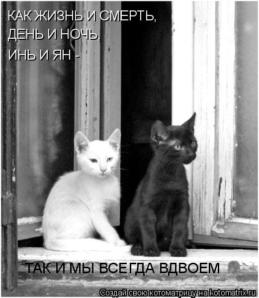 Котоматрица: КАК ЖИЗНЬ И СМЕРТЬ,  ДЕНЬ И НОЧЬ,  ИНЬ И ЯН -   ТАК И МЫ ВСЕГДА ВДВОЕМ