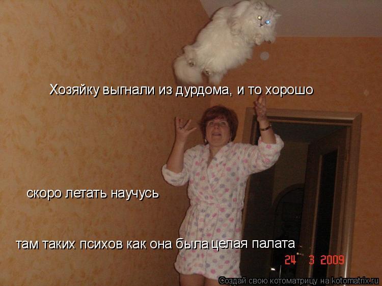 Хозяйку выгнали из дурдома, и то хорошо там таких психов как она была целая палата скоро летать науч... Котоматрица: Хозяйку выгнали из дурдома, и то хорошо там таких психов как она была целая палата скоро летать научусь