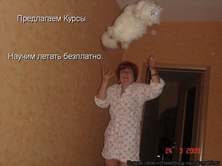 Котоматрица: Предлагаем Курсы. Научим летать безплатно . .