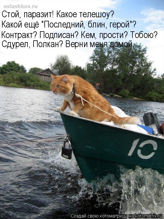 Стой, паразит! Какое телешоу? Какой ещё "Последний, блин, герой"? Контракт? Подписан? Кем, прости? Т... Котоматрица: Стой, паразит! Какое телешоу? Какой ещё "Последний, блин, герой"? Контракт? Подписан? Кем, прости? Тобою? Сдурел, Полкан? Верни меня домой.