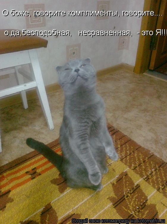 Котоматрица: О боже, говорите комплименты, говорите.... о,да,бесподобная,   несравненная,  - это Я!!!!!