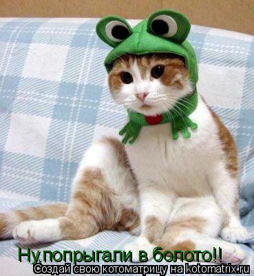Котоматрица: Ну,попрыгали в болото!!