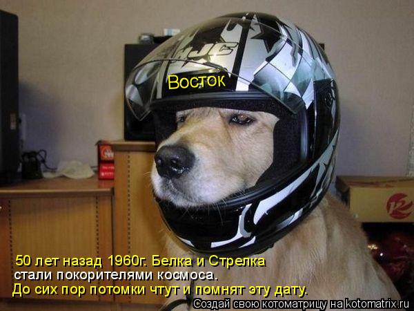 Восток 50 лет назад 1960г. Белка и Стрелка стали покорителями космоса. До сих пор потомки чтут и по... Котоматрица: Восток 50 лет назад 1960г. Белка и Стрелка стали покорителями космоса. До сих пор потомки чтут и помнят эту дату.
