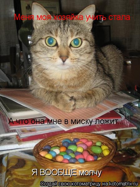 Котоматрица: Меня моя хозяйка учить стала А что она мне в миску ложит... Я ВООБЩЕ молчу
