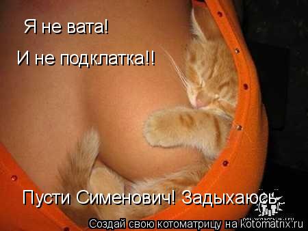 Котоматрица: Я не вата! И не подклатка!! Пусти Сименович! Задыхаюсь..