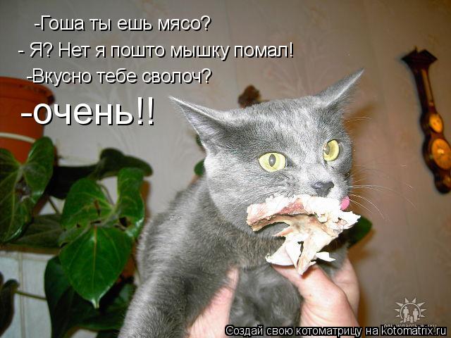 Котоматрица: -Гоша ты ешь мясо? - Я? Нет я пошто мышку помал! -Вкусно тебе сволоч? -очень!!