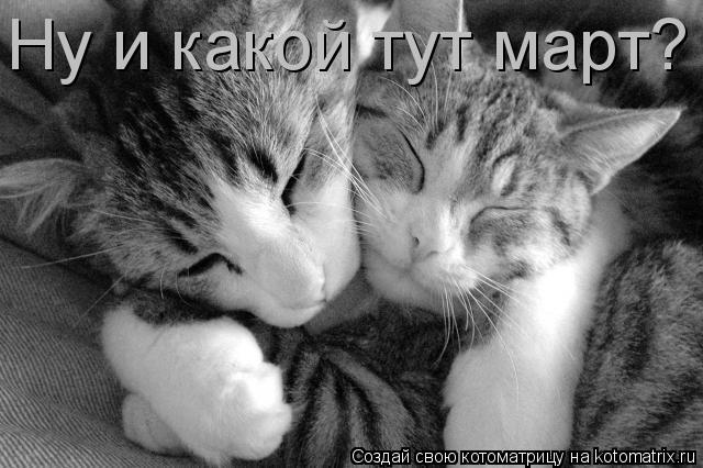 Котоматрица: Ну и какой тут март?
