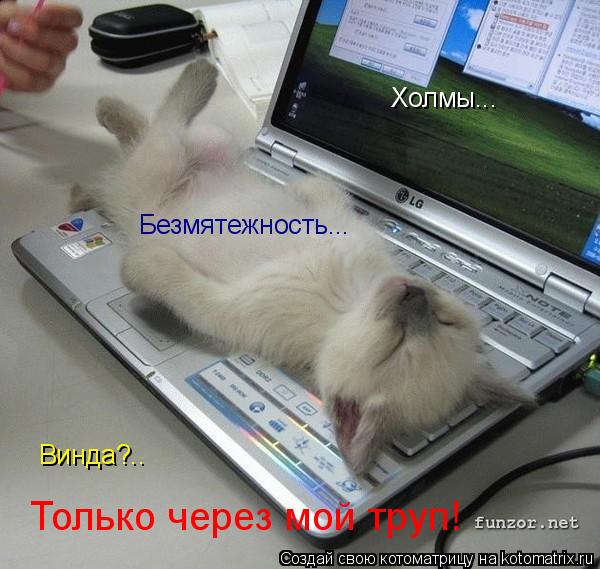 Котоматрица: Холмы... Безмятежность... Винда?.. Только через мой труп!