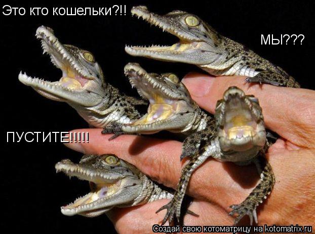 Котоматрица: Это кто кошельки?!! МЫ??? ПУСТИТЕ!!!!!