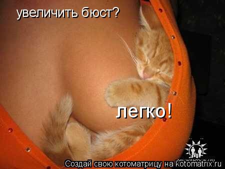 Котоматрица: увеличить бюст? легко!