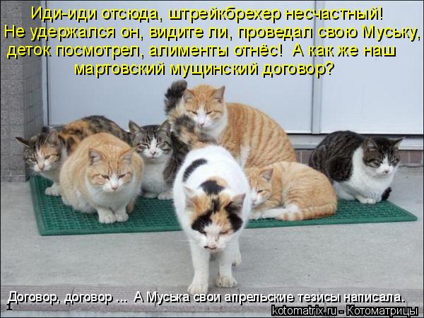 Иди-иди отсюда, штрейкбрехер несчастный! Не удержался он, видите ли, проведал свою Муську, деток пос... Котоматрица: Иди-иди отсюда, штрейкбрехер несчастный! Не удержался он, видите ли, проведал свою Муську, деток посмотрел, алименты отнёс! А как же наш мар