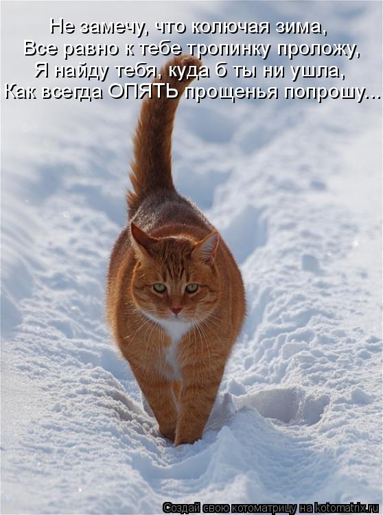 Как всегда ОПЯТЬ прощенья попрошу... Я найду тебя, куда б ты ни ушла, Все равно к тебе тропинку проло... Котоматрица: Как всегда ОПЯТЬ прощенья попрошу... Я найду тебя, куда б ты ни ушла, Все равно к тебе тропинку проложу, Не замечу, что колючая зима,
