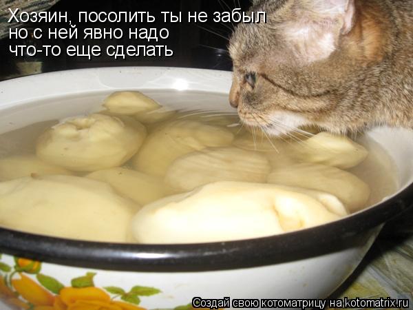 Хозяин, посолить ты не забыл но с ней явно надо что-то еще сделать... Котоматрица: Хозяин, посолить ты не забыл но с ней явно надо что-то еще сделать