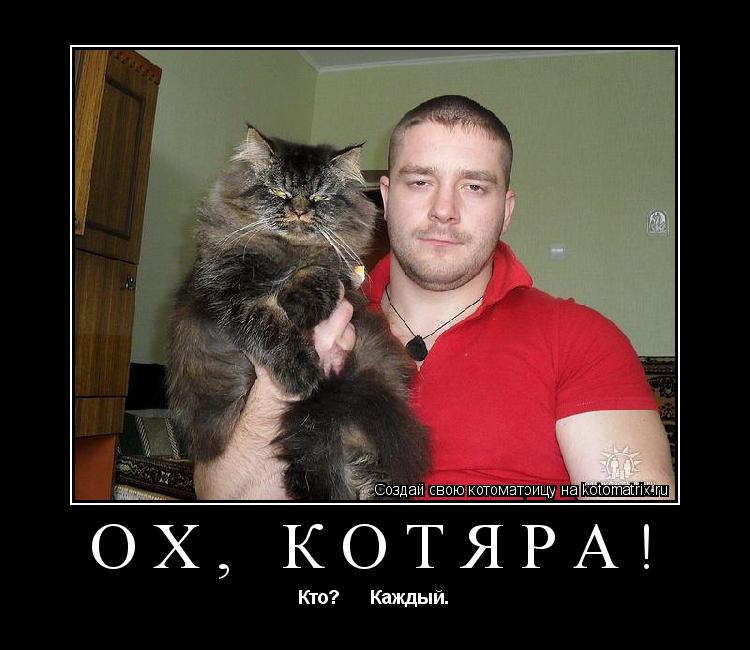 Ох, котяра! Кто? Каждый.... Котоматрица: Ох, котяра! Кто? Каждый.