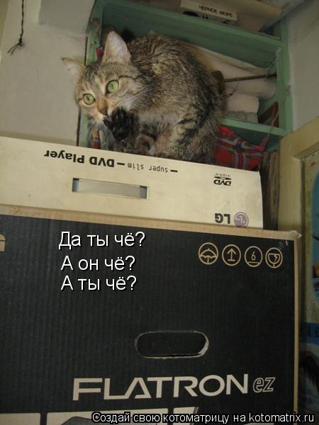 Котоматрица: Да ты чё? А он чё? А ты чё?