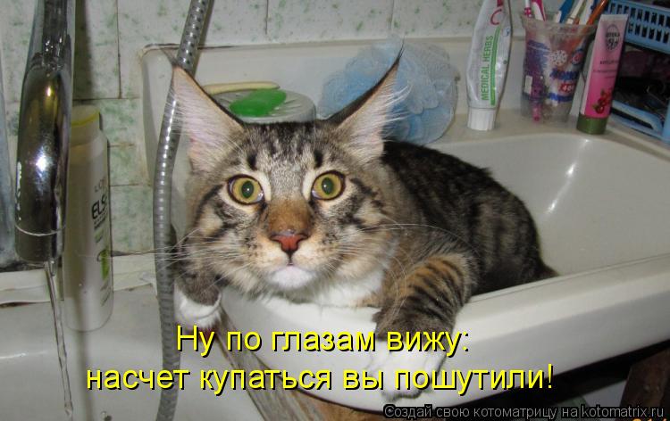 Ну по глазам вижу: насчет купаться вы пошутили!... Котоматрица: Ну по глазам вижу: насчет купаться вы пошутили!
