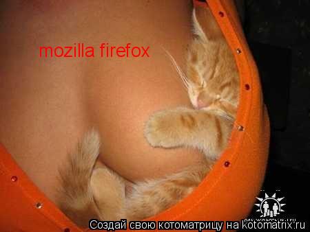 Котоматрица: mozilla firefox