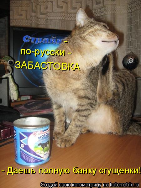 Котоматрица: -  по-русски -  ЗАБАСТОВКА - Даешь полную банку сгущенки!