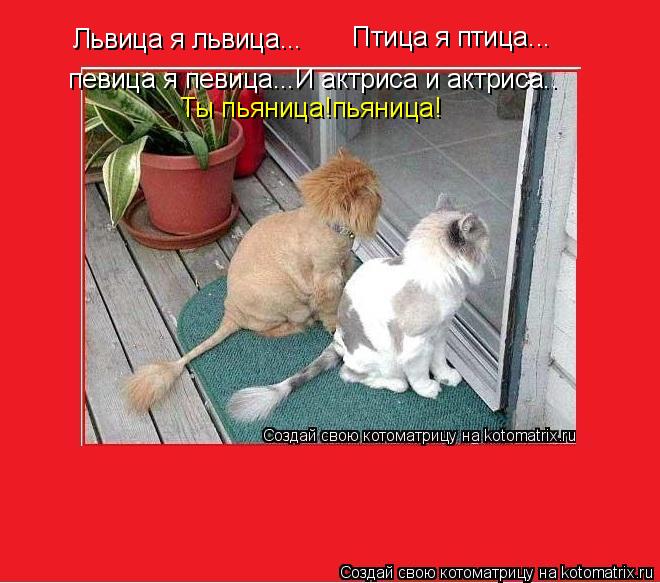 Котоматрица: Львица я львица... Птица я птица... певица я певица...И актриса и актриса.. Ты пьяница!пьяница!