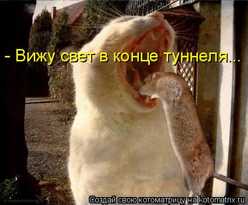- Вижу свет в конце туннеля...... Котоматрица: - Вижу свет в конце туннеля...
