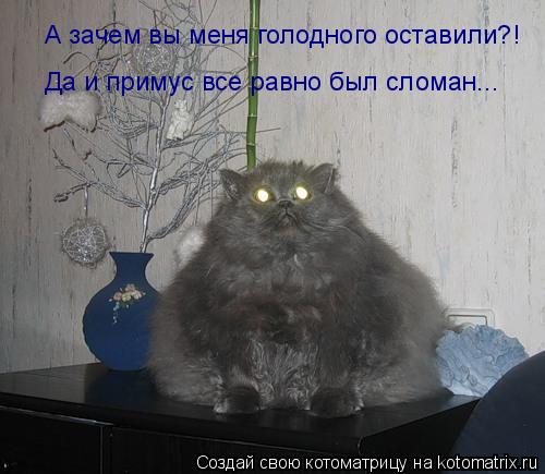 Котоматрица: А зачем вы меня голодного оставили?! Да и примус все равно был сломан...