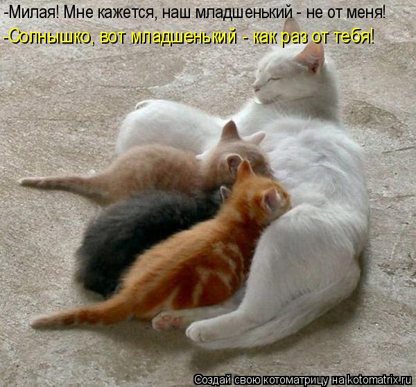 -Милая! Мне кажется, наш младшенький - не от меня! -Солнышко, вот младшенький - как раз от тебя!... Котоматрица: -Милая! Мне кажется, наш младшенький - не от меня! -Солнышко, вот младшенький - как раз от тебя!