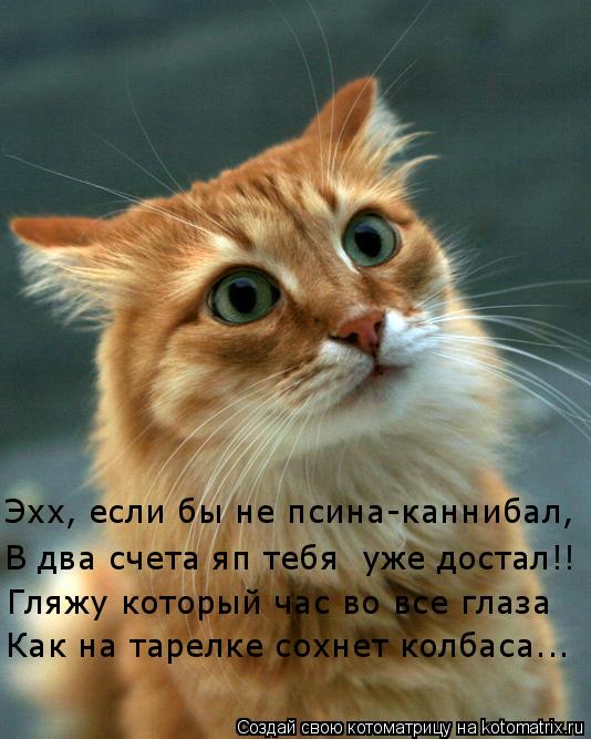 Эхх, если бы не псина-каннибал, В два счета яп тебя уже достал!! Гляжу который час во все глаза Как ... Котоматрица: Эхх, если бы не псина-каннибал, В два счета яп тебя уже достал!! Гляжу который час во все глаза Как на тарелке сохнет колбаса...
