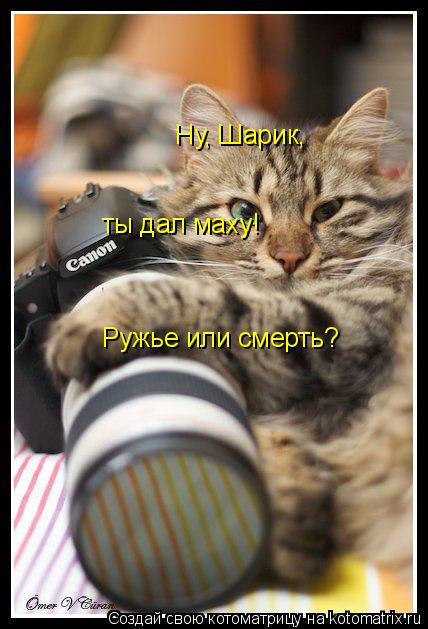 Ну, Шарик, ты дал маху! Ружье или смерть?... Котоматрица: Ну, Шарик, ты дал маху! Ружье или смерть?