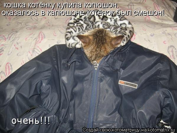 кошка котёнку купила копюшон. оказалось в капюшоне котёнок был смешон! очень!!!... Котоматрица: кошка котёнку купила копюшон. оказалось в капюшоне котёнок был смешон! очень!!!
