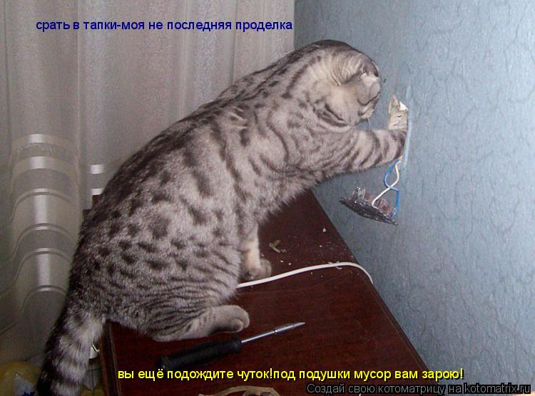 срать в тапки-моя не последняя проделка вы ещё подождите чуток!под подушки мусор вам зарою!... Котоматрица: срать в тапки-моя не последняя проделка вы ещё подождите чуток!под подушки мусор вам зарою!