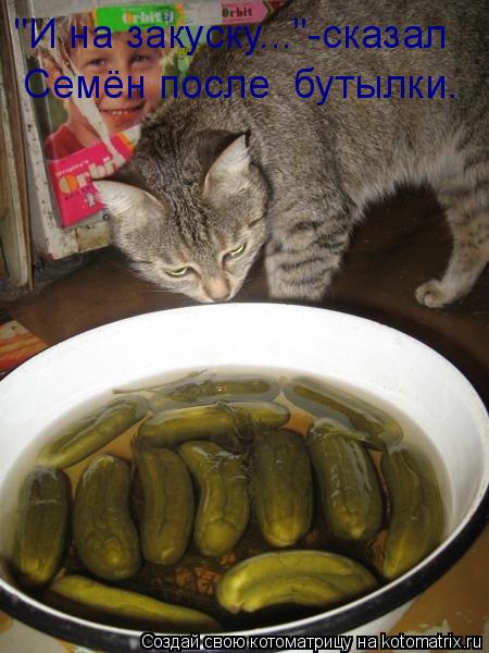 "И на закуску..."-сказал Семён после бутылки.... Котоматрица: "И на закуску..."-сказал Семён после бутылки.