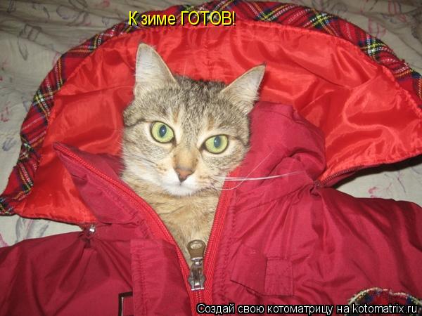К зиме ГОТОВ!... Котоматрица: К зиме ГОТОВ!
