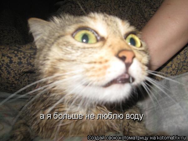 а я больше не люблю воду... Котоматрица: а я больше не люблю воду