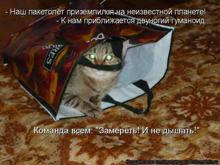 - Наш пакетолёт приземлился на неизвестной планете! - К нам приближается двуногий гуманоид... Команда... Котоматрица: - Наш пакетолёт приземлился на неизвестной планете! - К нам приближается двуногий гуманоид... Команда всем: "Замереть! И не дышать!"