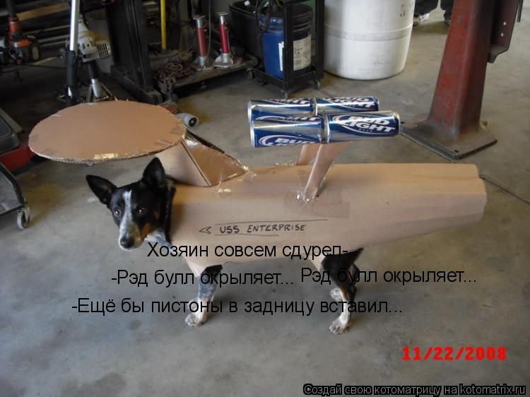 -Ещё бы пистоны в задницу вставил... -Рэд булл окрыляет... Хозяин совсем сдурел- Рэд булл окрыляет..... Котоматрица: -Ещё бы пистоны в задницу вставил... -Рэд булл окрыляет... Хозяин совсем сдурел- Рэд булл окрыляет...