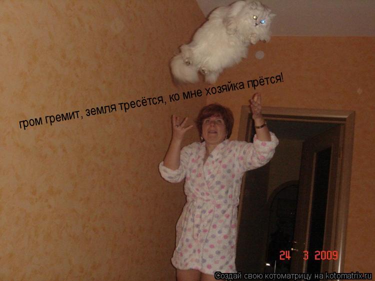гром гремит, земля тресётся, ко мне хозяйка прётся!... Котоматрица: гром гремит, земля тресётся, ко мне хозяйка прётся!