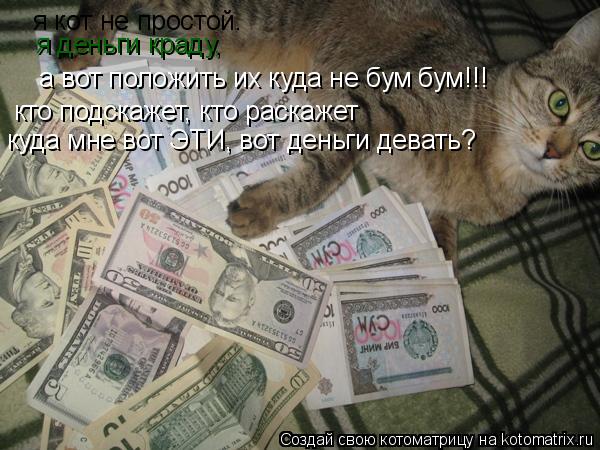 Котоматрица: я кот не простой.  я деньги краду,  а вот положить их куда не бум бум!!! кто подскажет, кто раскажет куда мне вот ЭТИ, вот деньги девать?