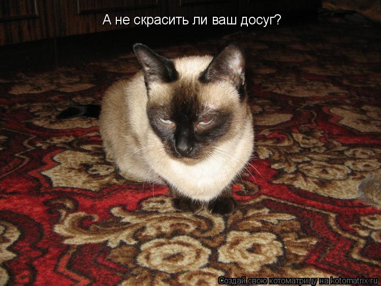 А не скрасить ли ваш досуг?... Котоматрица: А не скрасить ли ваш досуг?
