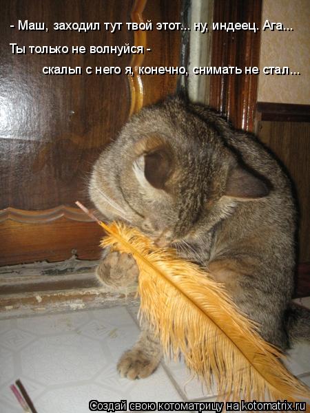 - Маш, заходил тут твой этот... ну, индеец. Ага... Ты только не волнуйся - скальп с него я, конечно, ... Котоматрица: - Маш, заходил тут твой этот... ну, индеец. Ага... Ты только не волнуйся - скальп с него я, конечно, снимать не стал...