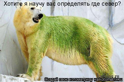 Хотите я научу вас определять где север?... Котоматрица: Хотите я научу вас определять где север?